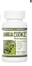 ANNUA ESSENCE C/160 CAP. COHONASA