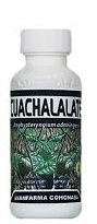 CUACHALALATE COHONASA  75 ML