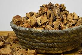 ABROJO ROJO  PLANTA  1 KG