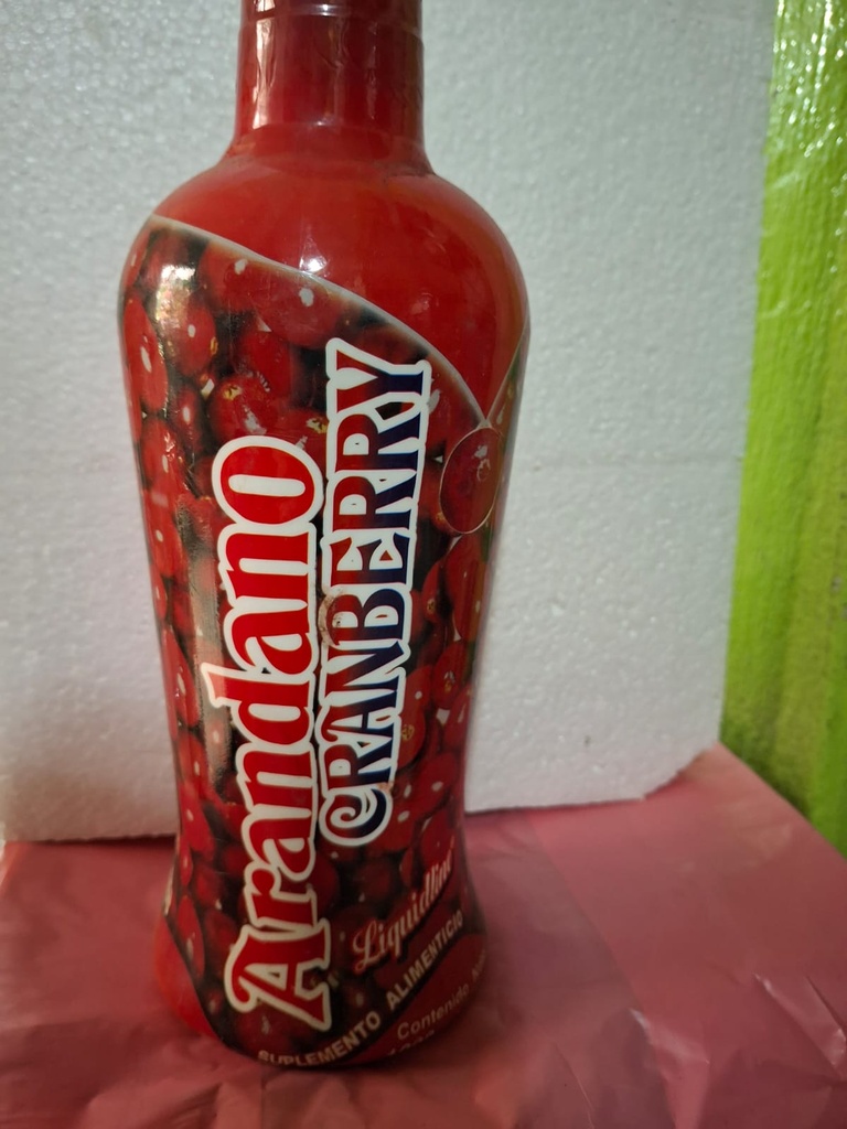 ARANDANO THERMO 1LT
