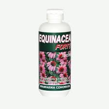 [75019488] EQUINACEA JARABE 120 ML COHONASA